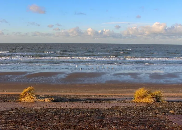 Evasion Côtière,studio à 2 Pas De La *